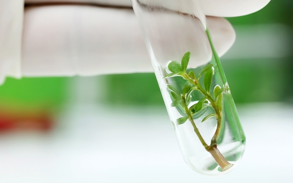 Biotechnology Industry